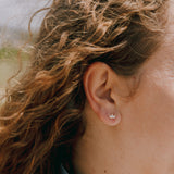Crown Studs